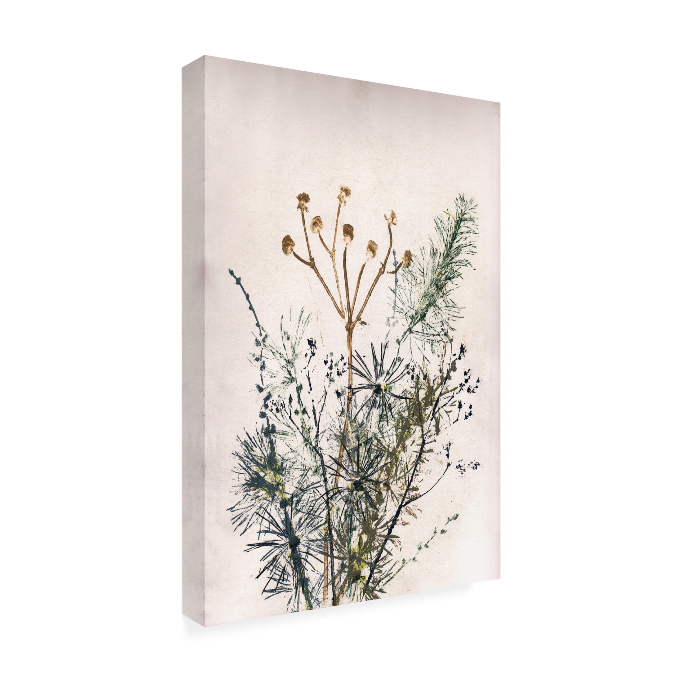 Canvas Wall Art - Pernille Folcarelli 'Bouquet 5' Wall Art for Living Room, Bedroom, or Office Décor by Trademark Fine Art - 16 x 24 Inches
