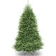 thumbnail image 1 of Árbol de Navidad Abeto Dunhill 6 pies Artificial con 1430 puntas y Soporte Fácil Instalación y Desmontaje National Tree Company DUH-60, 1 of 2
