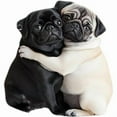 thumbnail image 1 of 2D Pug Acrylic Diffuser Car Air-Outlet Aroma Diffuser Air-Freshener Decorat, 1 of 1