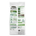 thumbnail image 3 of Pennington Smart Patch Sun and Shade Grass Seed Mix, for Sun to Partial Shade, 12 lb. Bonus Size, 3 of 16