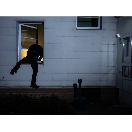 Kangaroo Indoor + Outdoor Camera with 2 Way Audio, On-Demand Livestream & Night Vision