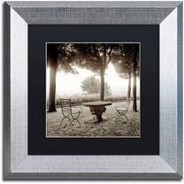 Trademark Fine Art "Fiesloe Giardini I" Canvas Art by Alan Blaustein, Black Matte, Silver Frame