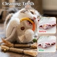 thumbnail image 3 of OEIKPFN Cat Chew Toys, 12PCS Chew Rope & Silvervine Sticks for Bored Indoor Adult Cats, Interactive Catnip Toys for Cats for Teeth Cleaning, 3 of 7