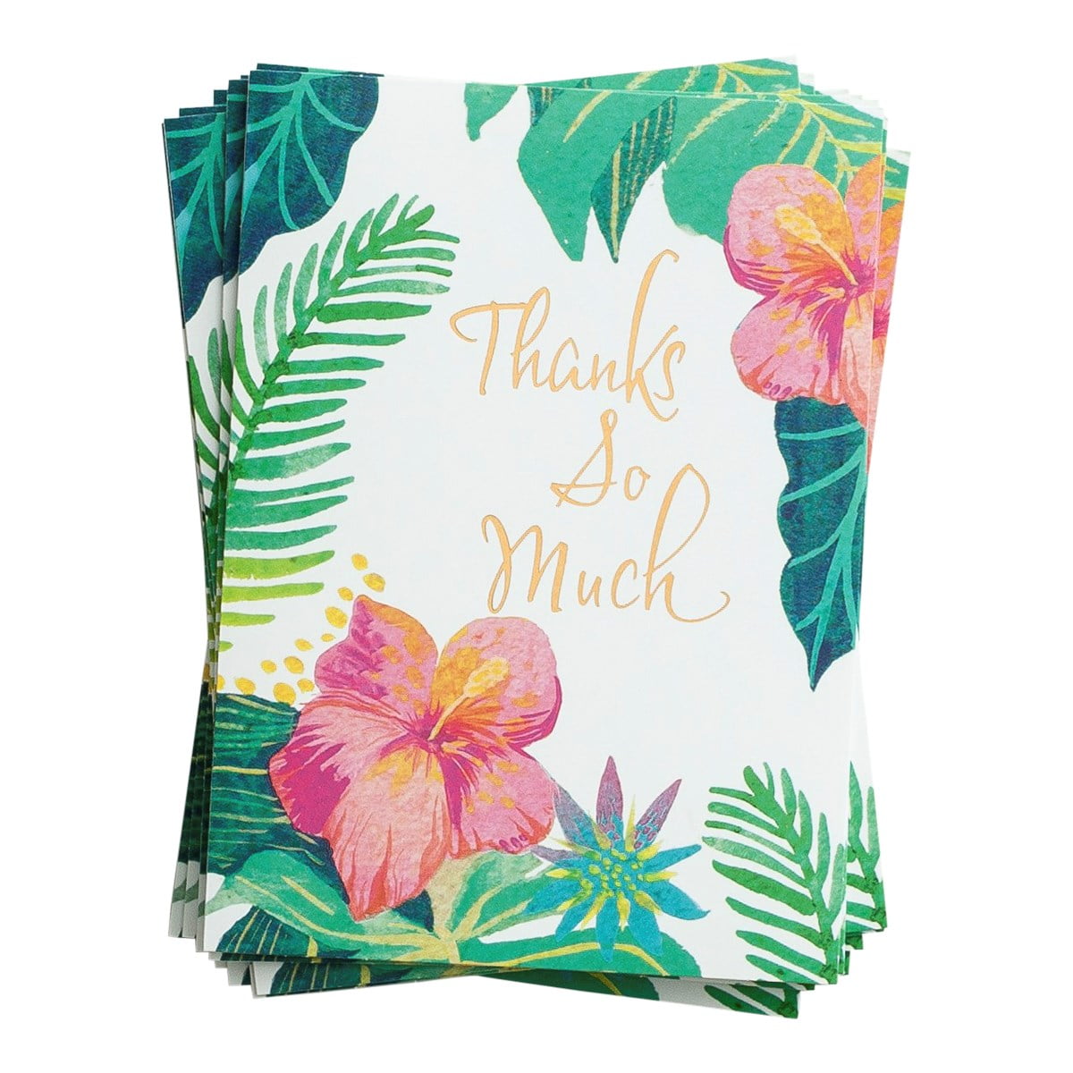 DaySpring Thanks So Much Tropical Blank Trend Note Cards