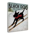 thumbnail image 2 of Tangletown Fine Art Black Dog Ski By Ryan Fowler,  Gallery Wrap Canvas 20 x 20, 2 of 3