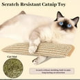 thumbnail image 3 of 2026 New Catnip Kicker Pillow with Sisal Scratching Pad & Chew Toy -  Interactive Cat Toys for Indoor Cats, Kittens Teething & Scratching, 3 of 6