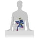 thumbnail image 5 of Sabiduría mundial Worldwise  770637, 5 of 6