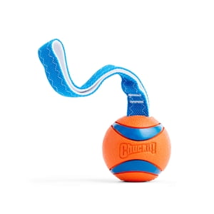 Chuckit! Ultra Tug Ball Dog Toy, 3 Inches, Large