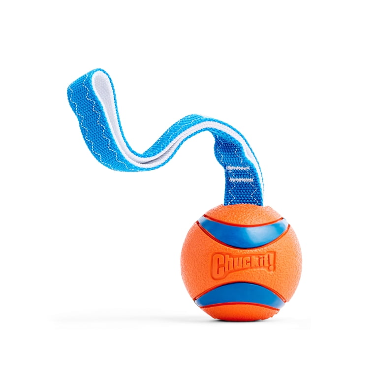 Chuckit! Ultra Tug Ball Dog Toy, 3 Inches, Large photo 1