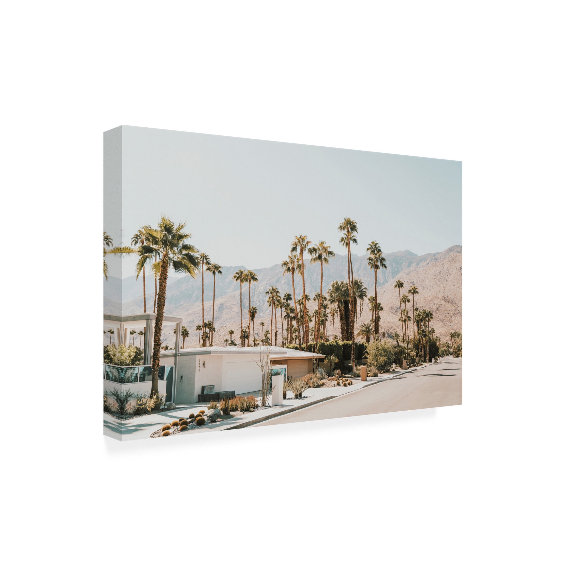 Canvas Wall Art - Krista Broadway 'Aviva' Wall Art for Living Room, Bedroom, or Office Décor by Trademark Fine Art - 32 x 22 Inches