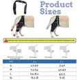 thumbnail image 4 of Dog Knee Brace,dog Leg Brace Hip Support Brace For Cruciate Ligament Injuries, Ccl, Patella Dislocation Or Osteoarthritis, 4 of 5