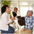 thumbnail image 2 of Filtrete 16x30x1 AC Furnace Air Filter, MERV 12, MPR 1500, CERTIFIED asthma & allergy friendly, 3 Month Pleated 1-Inch Electrostatic Air Cleaning Fil, 2 of 10