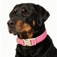 thumbnail image 4 of Miaocao Soft Corduroy Dog Collar,Adjustable Pet Collar with Quick Release Buckle & Gold D-Ring for Medium Dogs, 4 of 5