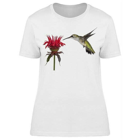 Hummingbird Feeding On Beebalm T-Shirt Women -Image by Shutterstock, Female Large