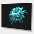thumbnail image 3 of Designart ' Close Up Of White and Pure Blue Daisy Flower II ' Traditional Canvas Wall Art Print, 3 of 4