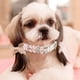 thumbnail image 4 of Apuakthei - Juego de 2 collares de perlas, bonitos collares para perros, gatos, cachorros, gatitos, bodas, fiestas de cumpleaños (M), 4 of 5