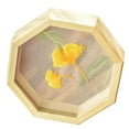 thumbnail image 3 of Kit de bordado, kit para principiantes de bordado a mano con tela, bastidor de madera, hilos y herramientas. E00078, 3 of 8