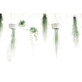 thumbnail image 3 of Villa, Mlli 24x17 Black Modern Framed Museum Art Print Titled - High Plants, 3 of 5