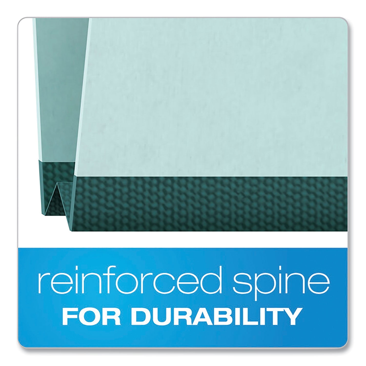 Pendaflex 9200T-1/3 Pressboard Expanding File Folders, 1/3 Cut Top Tab, Letter, Blue, 25/Box