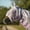 Lilac, variant on Schneiders Ripstop Nylon Mesh II Horse Fly Masks | Color White | Size Cob
