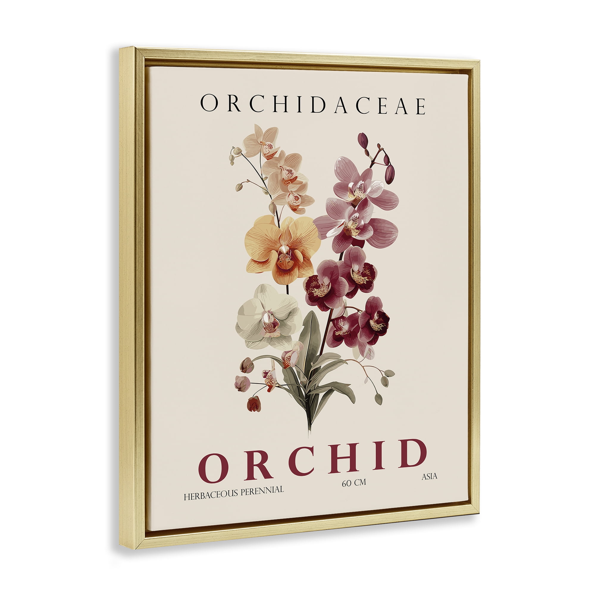 Stupell Industries Natural Orchid Bundle Gold Framed Floater Canvas Wall Art, design by Christopher Giampietro
