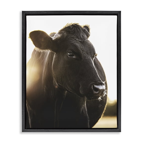 Stupell Industries Farmhouse Bessie The Cow Portrait Black Floating Frame Canvas Art, 17 x 21, by Leah Straatsma