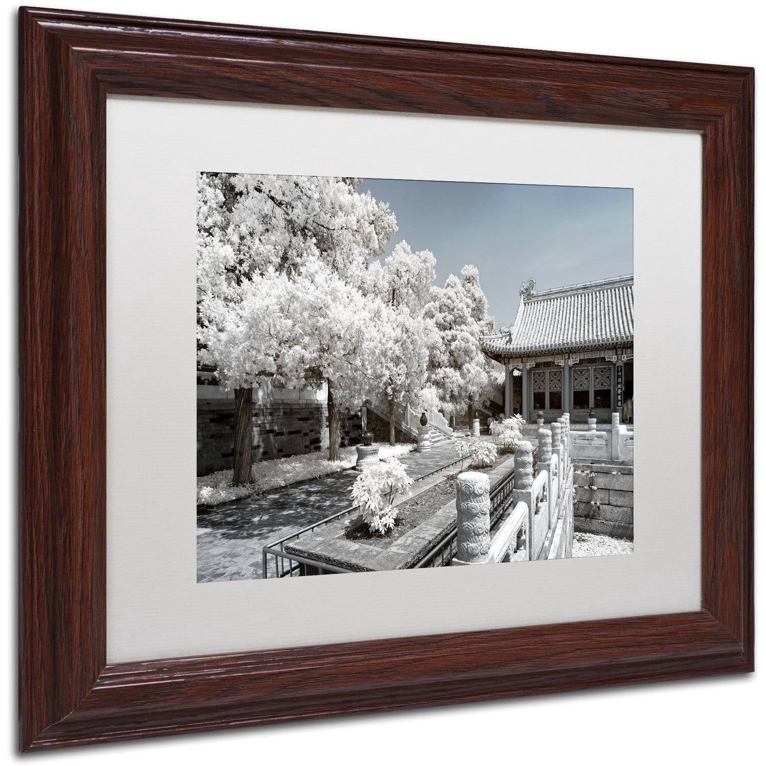 Trademark Fine Art "Reflection" Canvas Art by Philippe Hugonnard, White Matte, Wood Frame