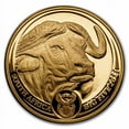 thumbnail image 4 of 2023 South Africa 2-Coin Gold Krugerrand & Buffalo Proof Set, 4 of 4