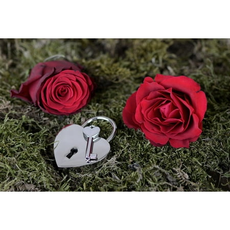 - LAMINATED POSTER Red Key Open Red Rose Heart Castle Rose Poster Print 24 x 36
