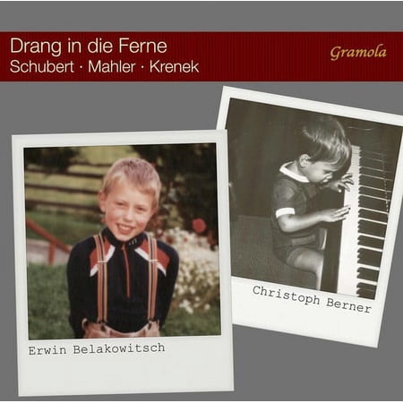 Beethoven / Irnberger / Judd - Violin Concerto / Triple Concerto / Romances - Music & Performance - CD