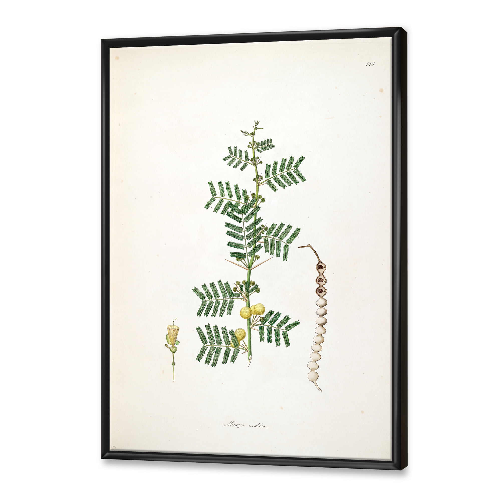 Designart 'Ancient Blossoming Flower III' Farmhouse Framed Canvas Wall Art Print