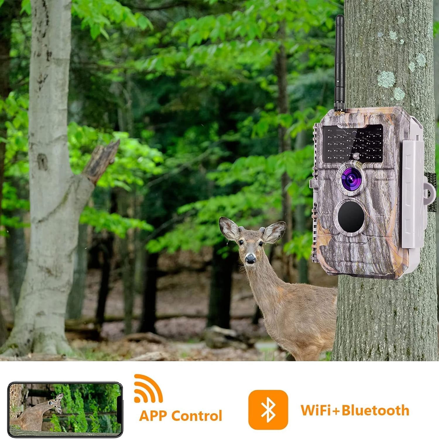 BlazeVideo 32MP 1296P WiFi Trail Camera - No Glow Night Vision, Motion Activated, Waterproof | Send Photos to Phone via App | for Wildlife Hunting & Home Security