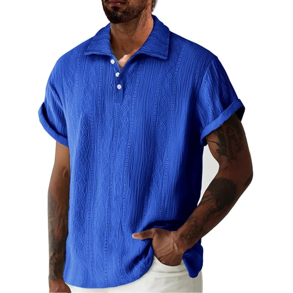 Timoontee Men's Short Sleeve Basic T Shirt Breathable Fabric Moisture Wicking Lapel Collar V Neck For Daily Blue M