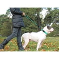 thumbnail image 2 of LAICAIW Rope Dog Leash 6 FT with Comfortable Padded Handle, Highly Reflective Threads Strong Dog Leash for Large Dogs, 1/2 inch, Turquoise, 2 of 7