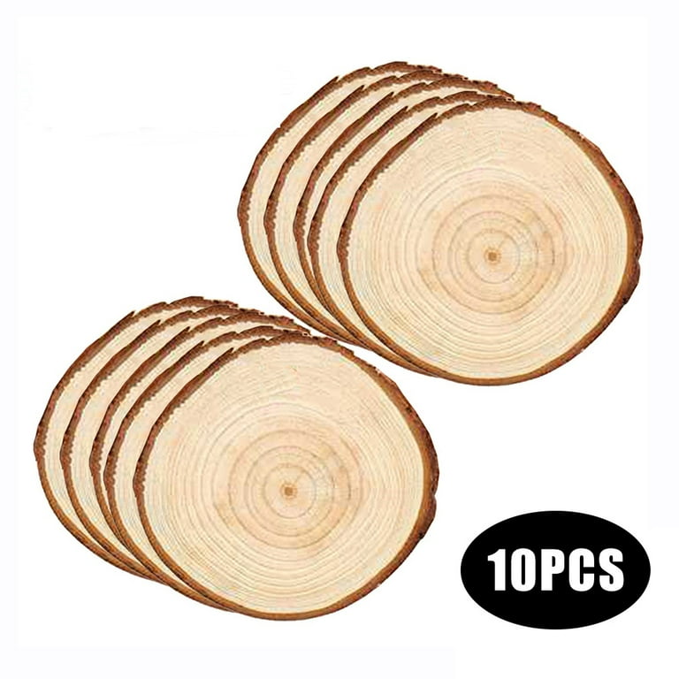 Unfinished Natural Wood Slices 10Pcs Round Wood Chips for Crafts