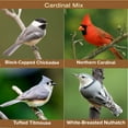 Blue Seal Premium Cardinal Mix Wild Bird Seed Blend of Sunflower and