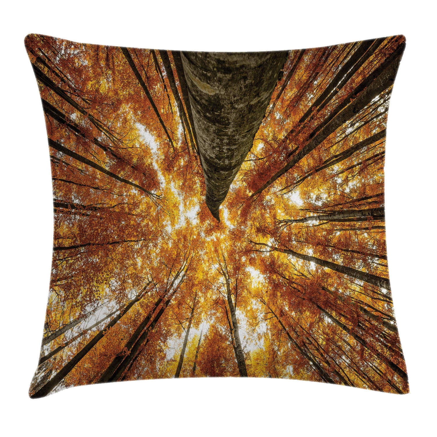 Forest Home Decor Throw Pillow Cushion Cover Big High Beech Trees Deciduous Shedding Canadian Maples Idyllic Print Decorative Square Accent Pillow Case 20 X 20 Inches Orange Brown By Ambesonne Walmart Com