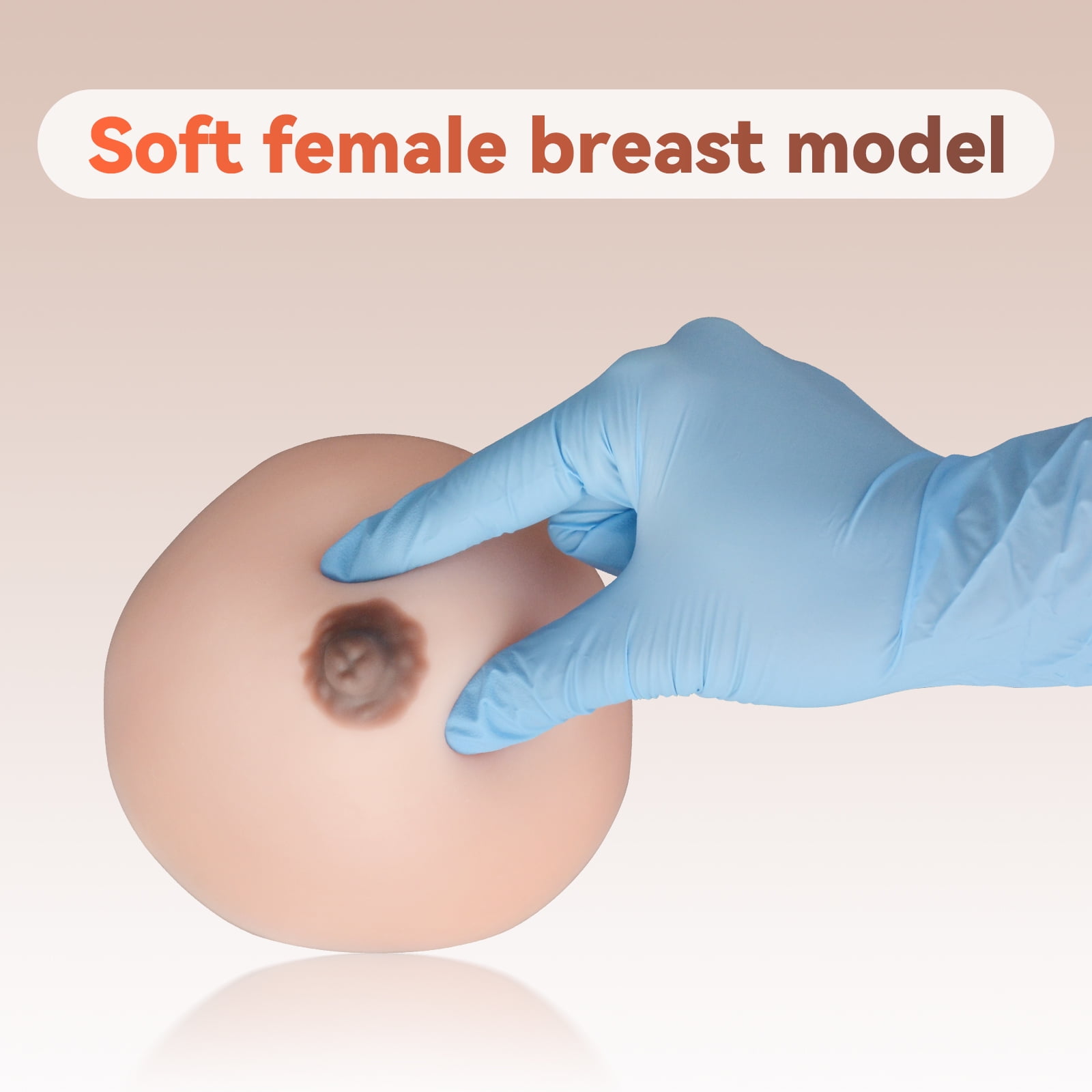Lactation Breast Model, Artificial Breast for Breastfeeding