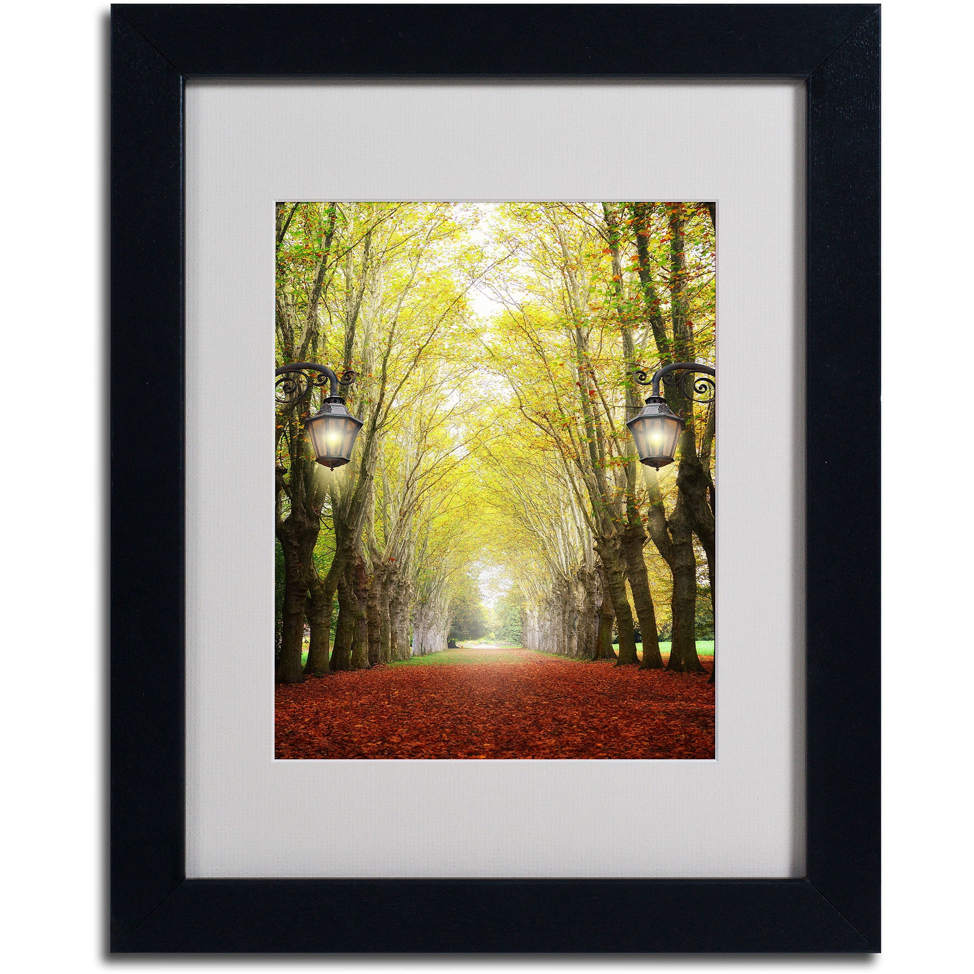 Trademark Fine Art "Plane Tree Alley" Canvas Art by Philippe Sainte-Laudy, Black Frame