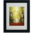 thumbnail image 2 of Trademark Fine Art "Plane Tree Alley" Canvas Art by Philippe Sainte-Laudy, Black Frame, 2 of 3
