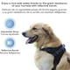 thumbnail image 5 of Mascretta Pechera para Perro. Arnés para Perro Mascretta  Pechera para Perro, 5 of 6