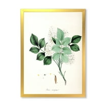 Designart 'Ancient Blossoming Flower IV' Farmhouse Framed Art Print