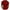 Red, variant on WREESH Men's Solid Short Sleeve Button-Down Casual T-Shirt with Collar a Stylish Solid Color Shirt for Daily Wear Red