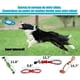 thumbnail image 2 of Juego de 10 juguetes para perros, cuerda masticable resistente para perros pequeños y medianos, que promueve la salud (multicolor), 2 of 5