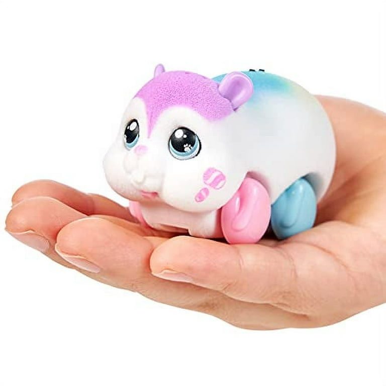 Little Live Pets Lil' Hamster S1 Hamster & House Playset – POPMELLO,  Multicolore (26371) : : Jeux et Jouets