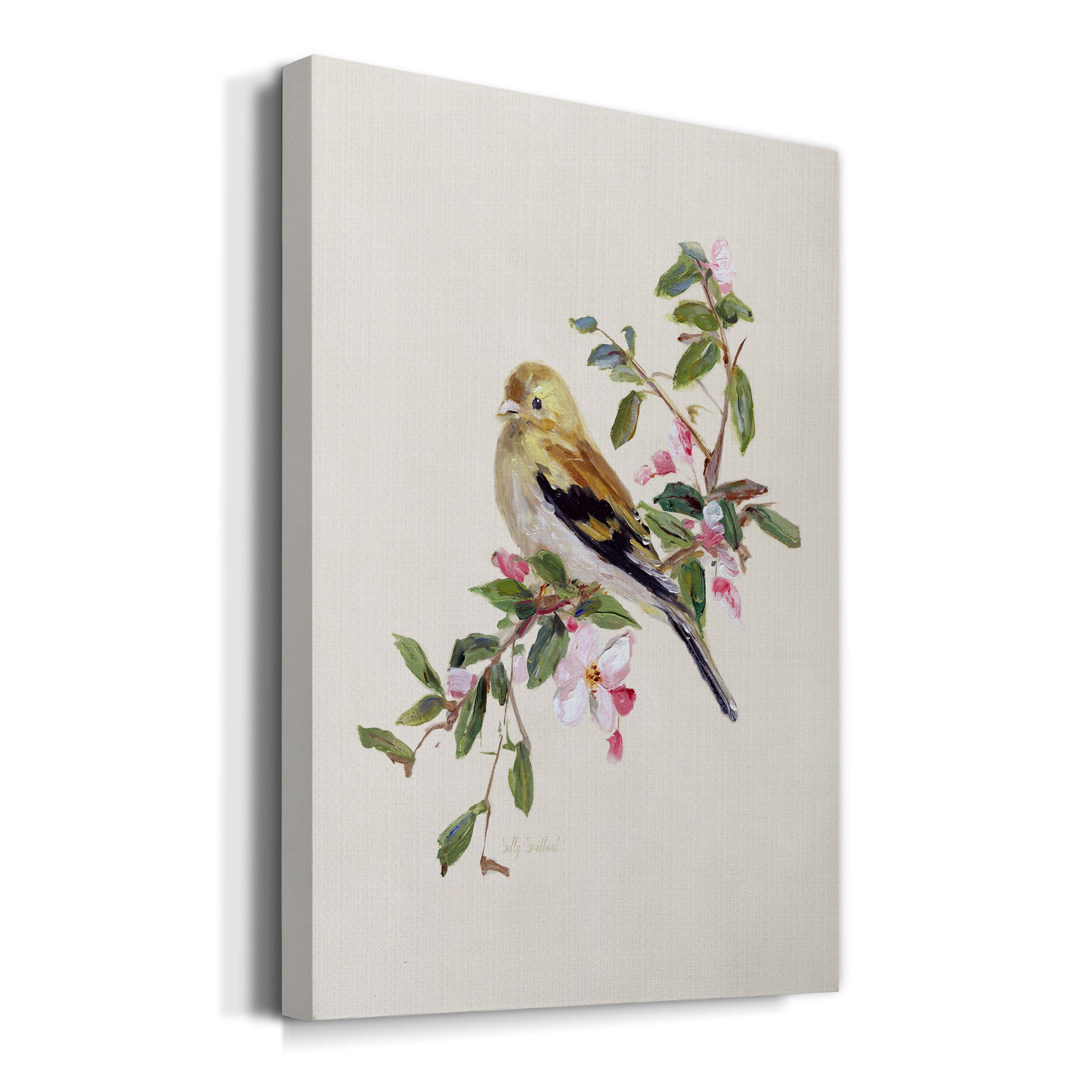 Spring Song Pine Grosbeak Premium Gallery Wrapped Canvas - Ready to Hang - 40 x 60