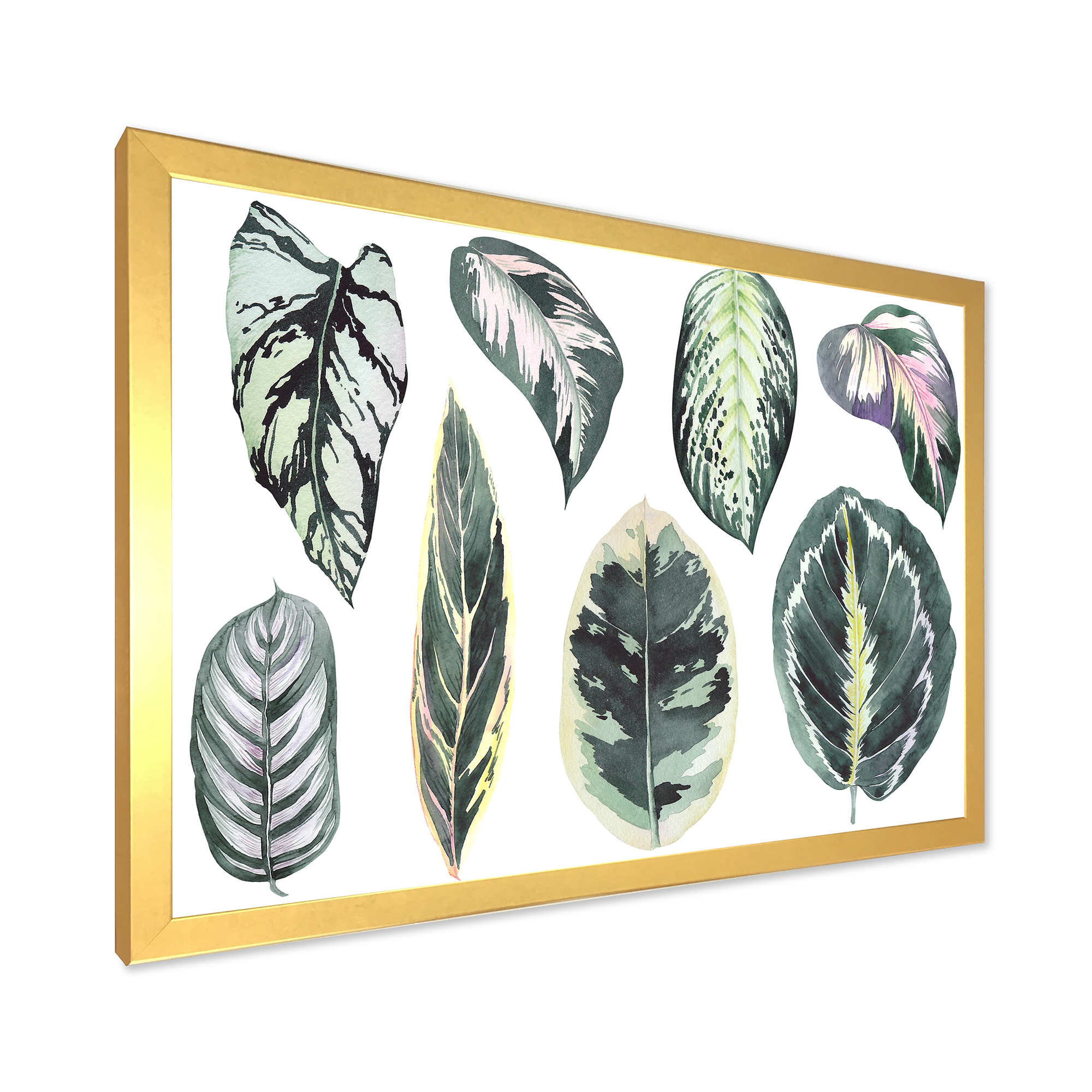 Designart 'Tropical Calathea Leaves On White' Bohemian & Eclectic Framed Art Print