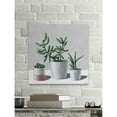 thumbnail image 4 of Parvez Taj Succulents in Bloom Painting Print on Wrapped Canvas, 4 of 5