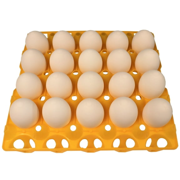 6 RITE FARM PRODUCTS 20 EGG PLASTIC TRAYS FOR DUCK GOOSE TURKEY PEAFOWL CARTON