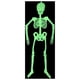 thumbnail image 2 of Esqueleto Luminoso Esqueleto Corporal Horror Halloween Casa Accesorios Divertidos Halloween Casa Patio Escena Doméstica Accesorios Divertidos De Terror, 2 of 5